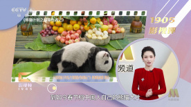 老司机入口